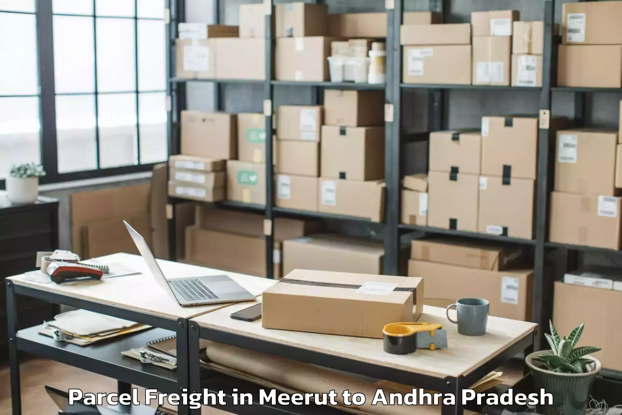 Book Meerut to Rolugunta Parcel Freight Online